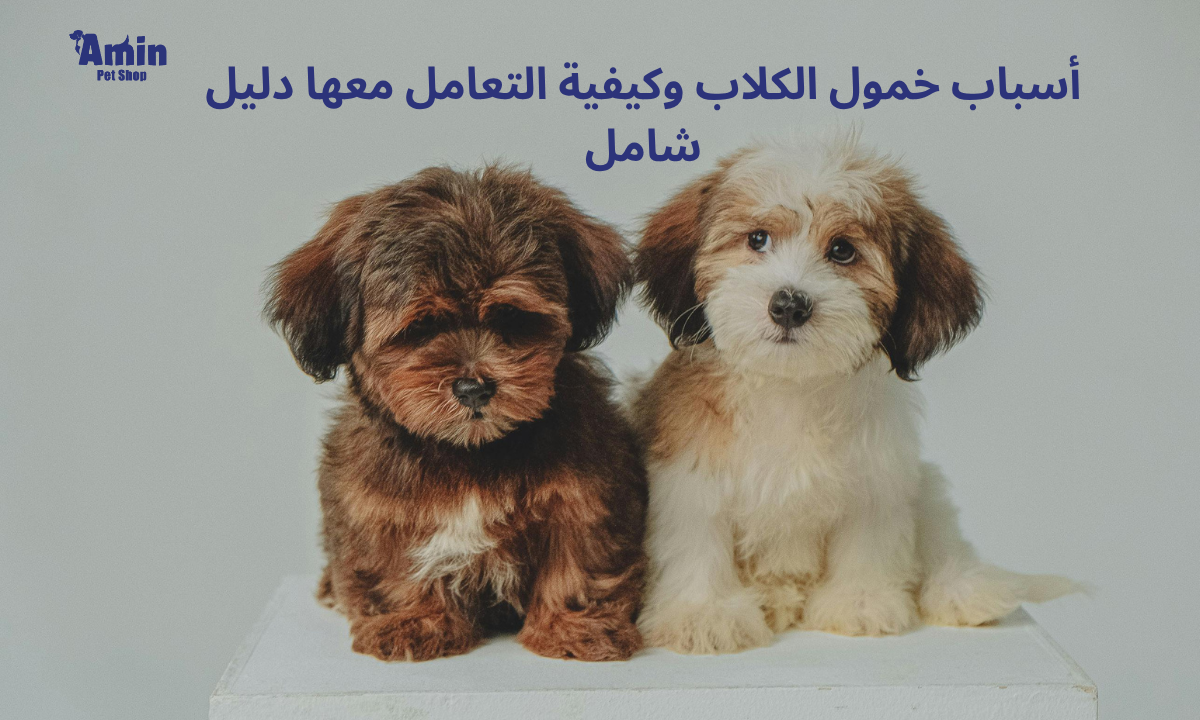 أسباب خمول الكلاب 