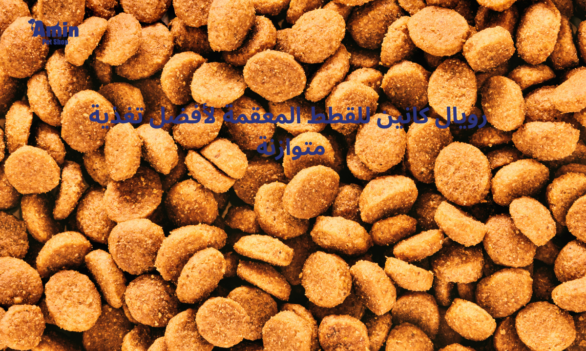 رويال كانين للقطط المعقمة لأفضل تغذية متوازنة 