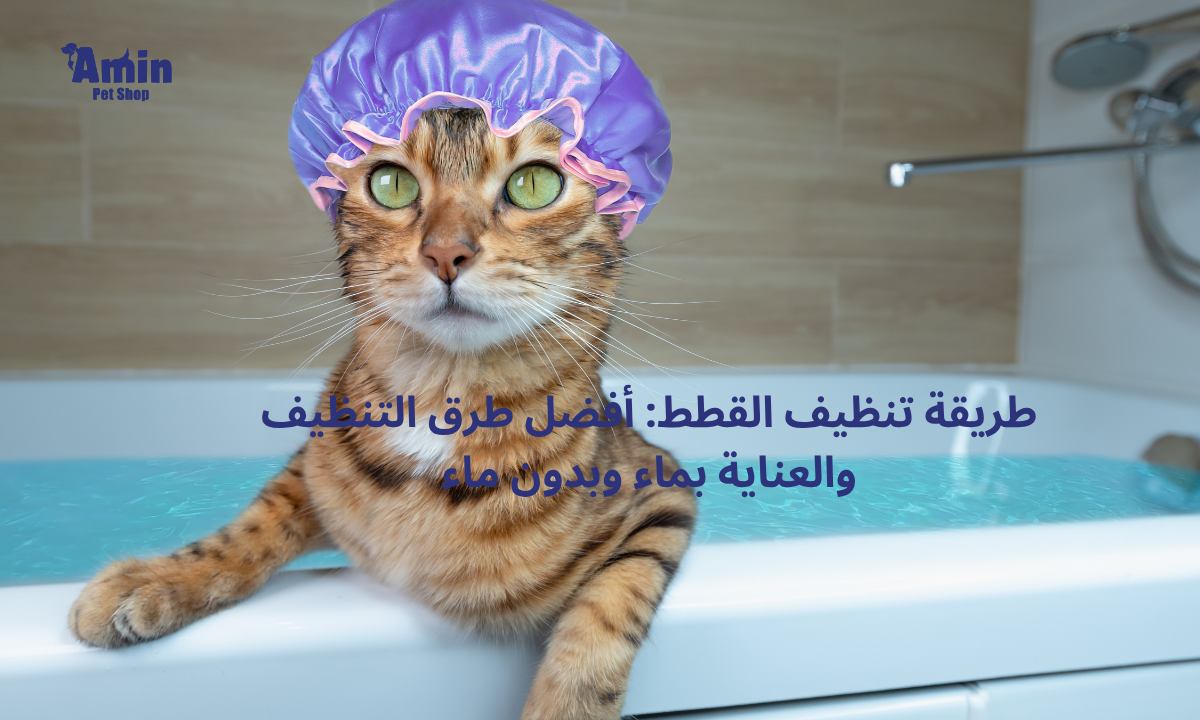 طريقة تنظيف القطط