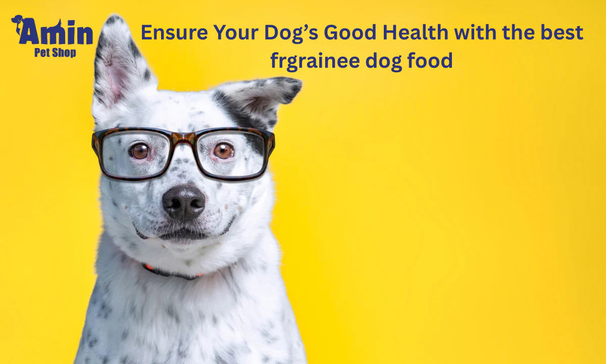 Ensure Your Dog’s Good Health with the best  frgrainee dog food