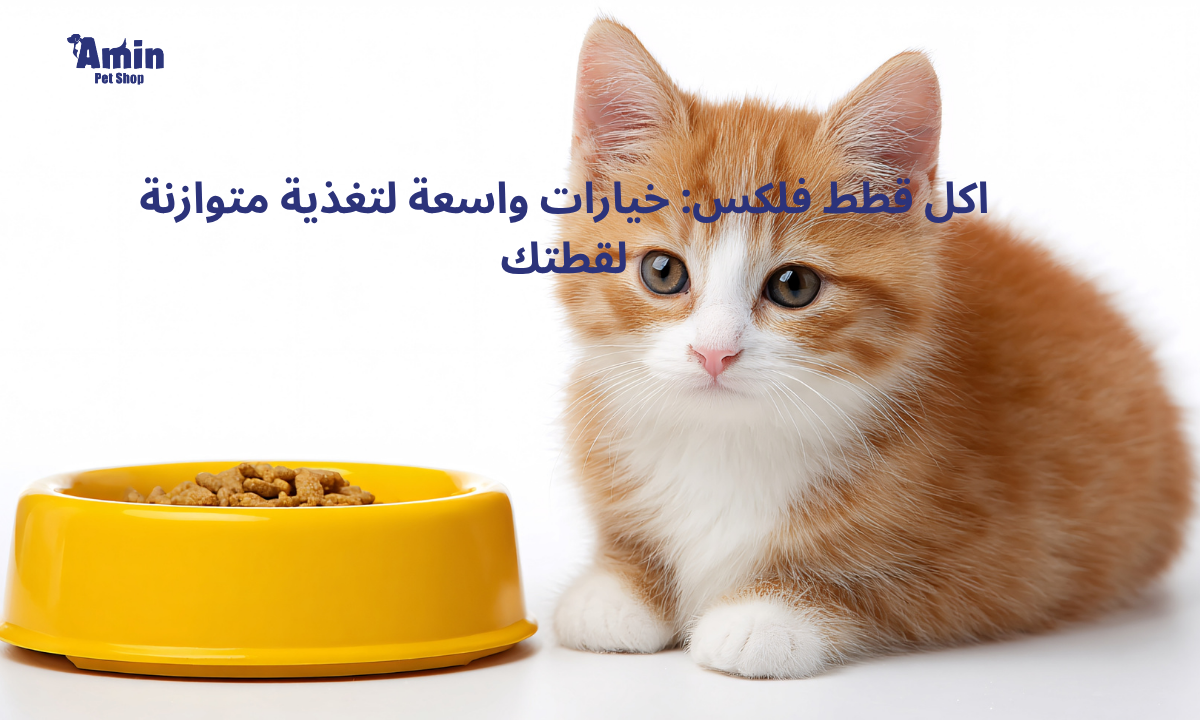 اكل قطط فلكس: خيارات واسعة لتغذية متوازنة لقطتك