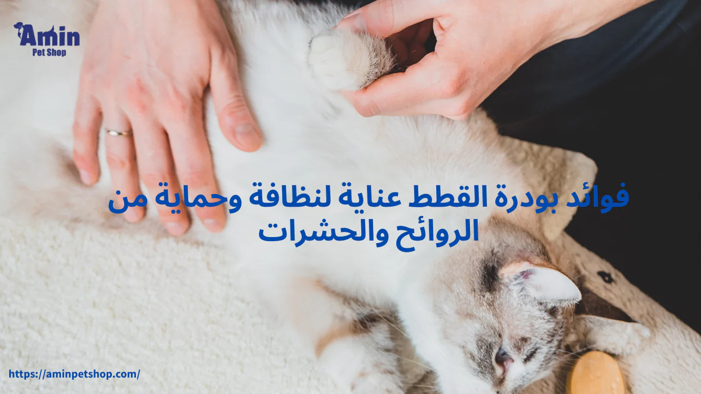 فوائد بودرة القطط عناية لنظافة وحماية من الروائح والحشرات