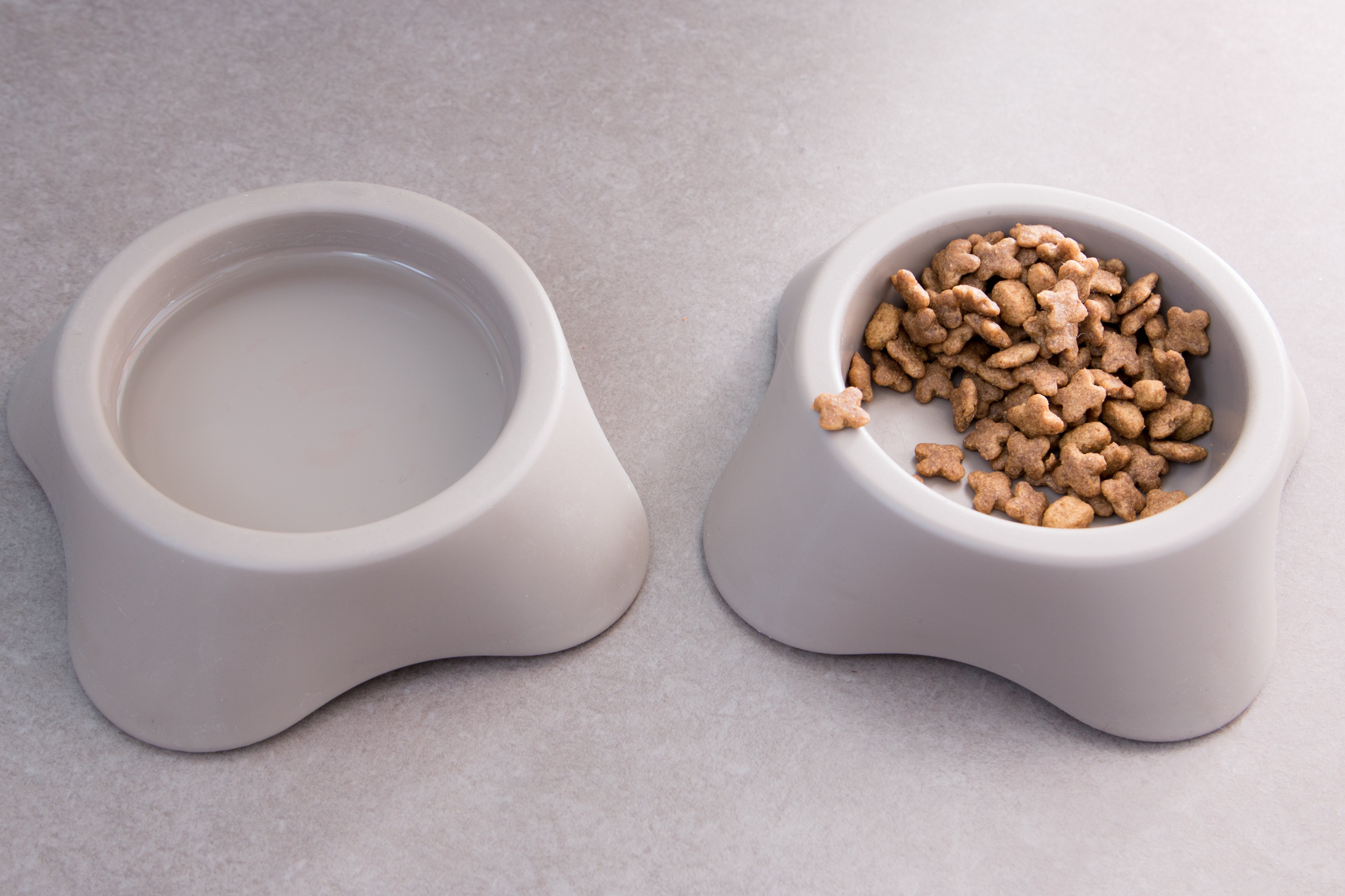 Dog Bowls - Amin Pet Shop