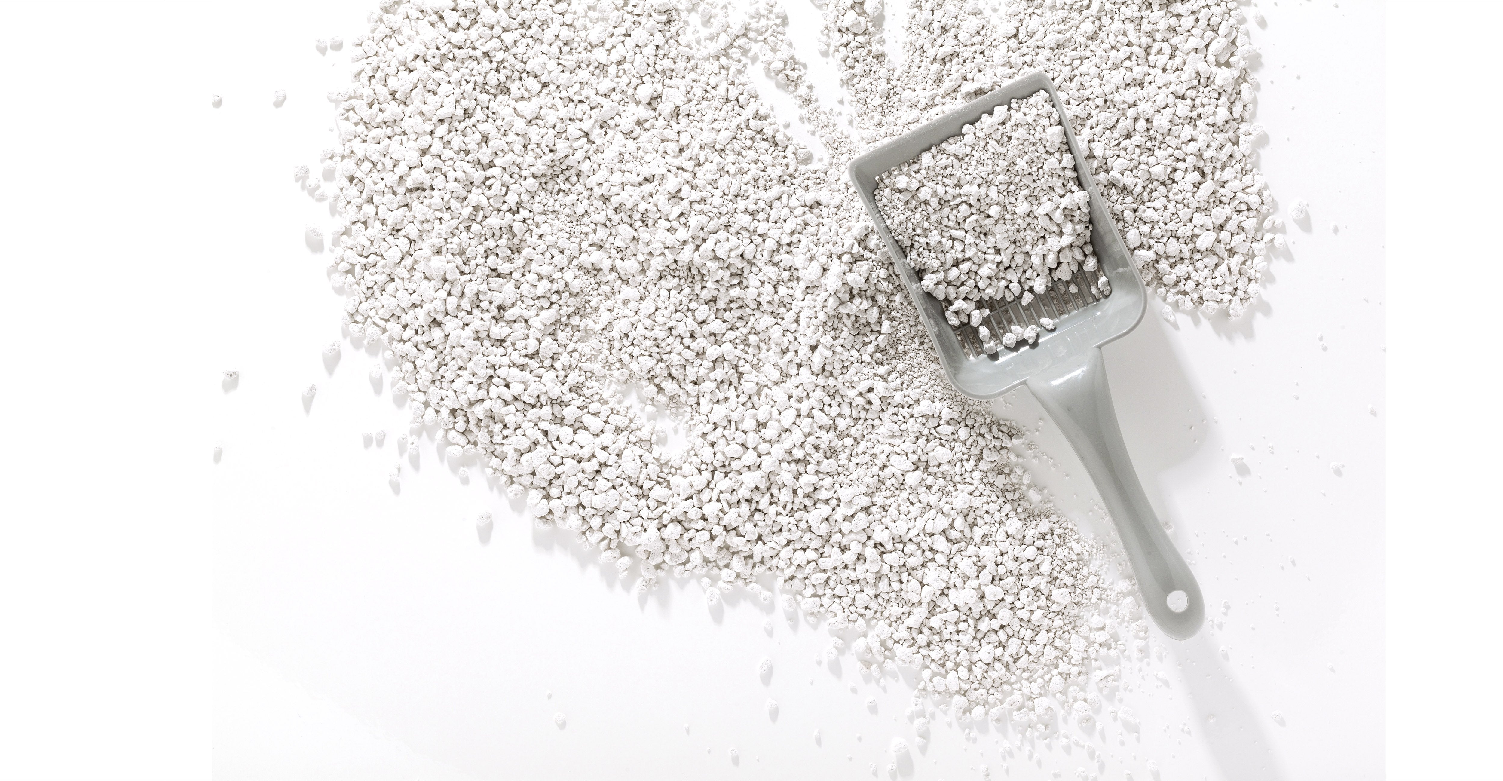 Cat Litter - N BALLET SHOP