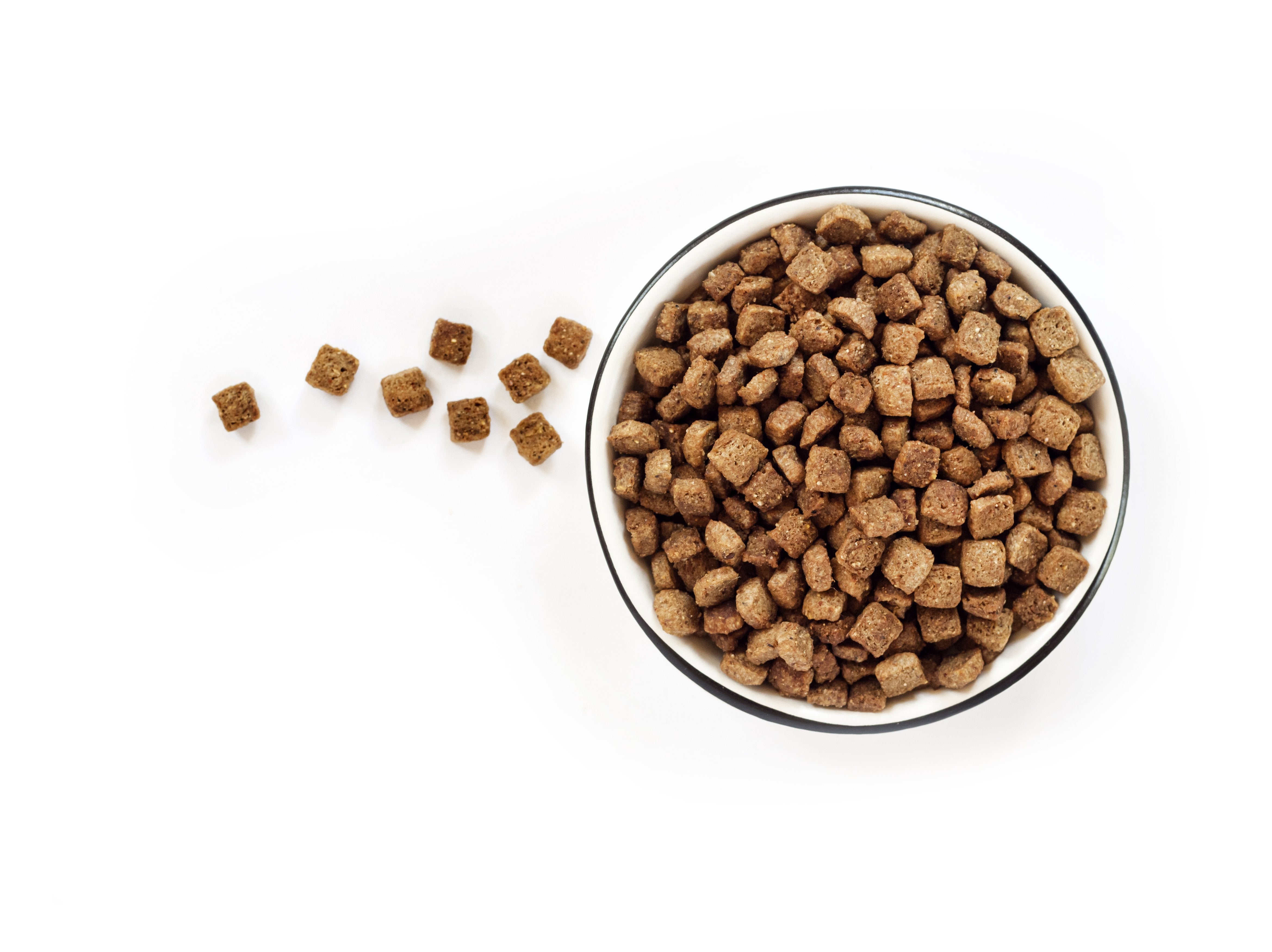 Puppy Dry Food - Amin Pet Shop