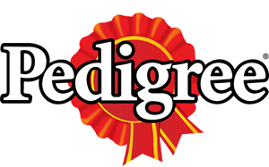 Pedigree Dog Food – Tasty & Balanced Nutrition for All Breeds | Amin Pet Shop Egypt