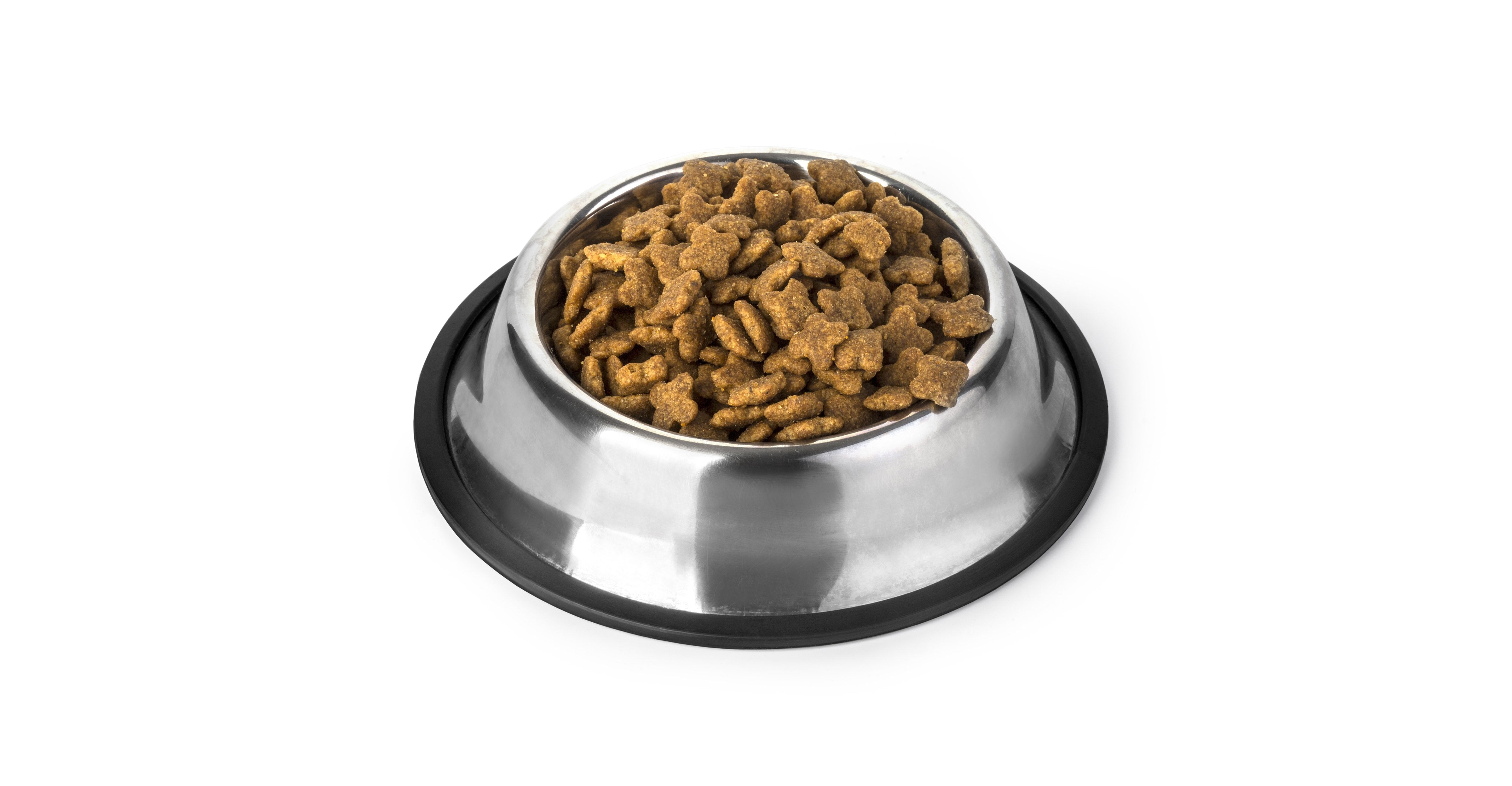 Kitten Dry Food - Amin Pet Shop