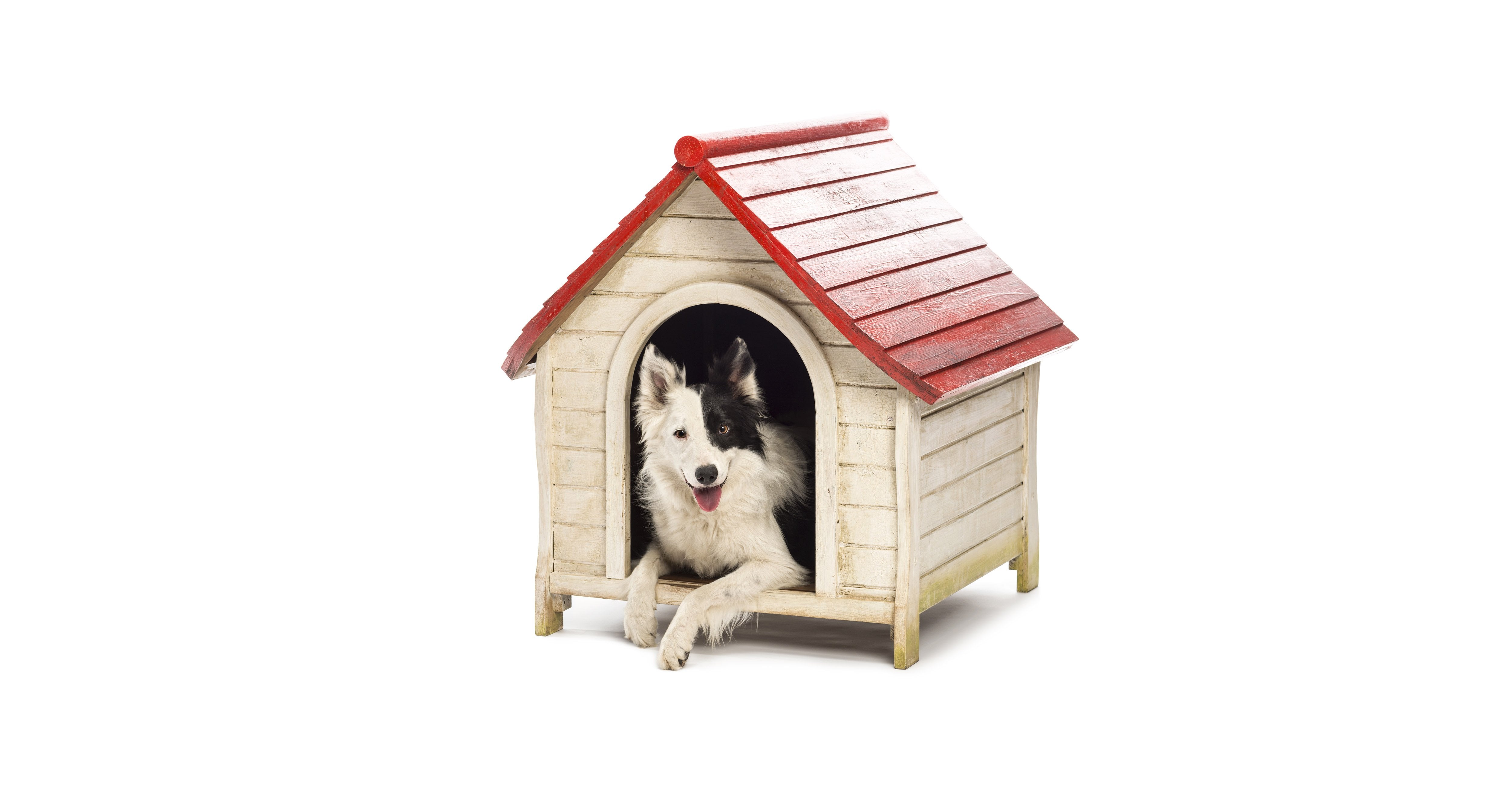 Kennels - Amin Pet Shop