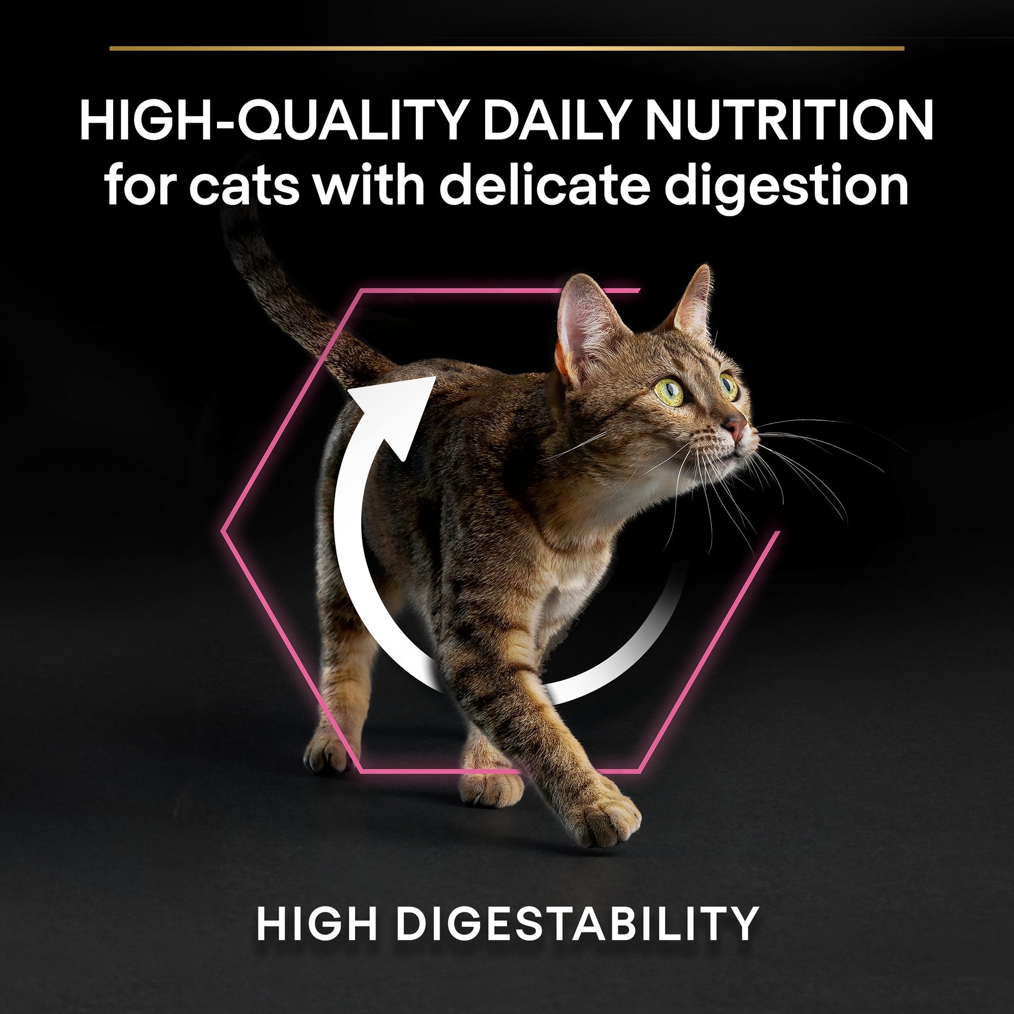 PURINA PRO PLAN Delicate Adult -OPTIDIGEST- Rich in Turkey Dry Cat Food - 10 KG