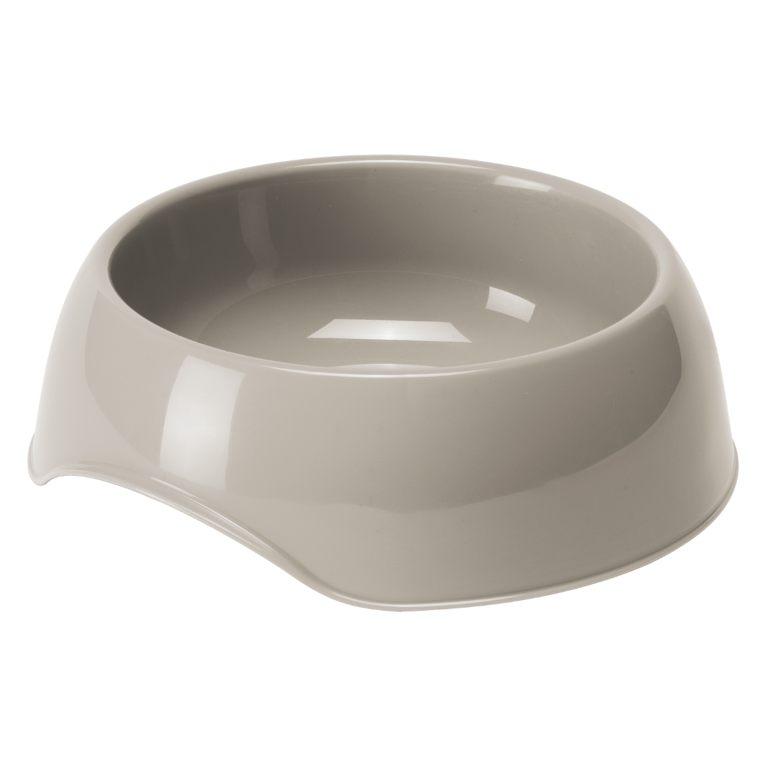 Dinnertime Gusto Medium