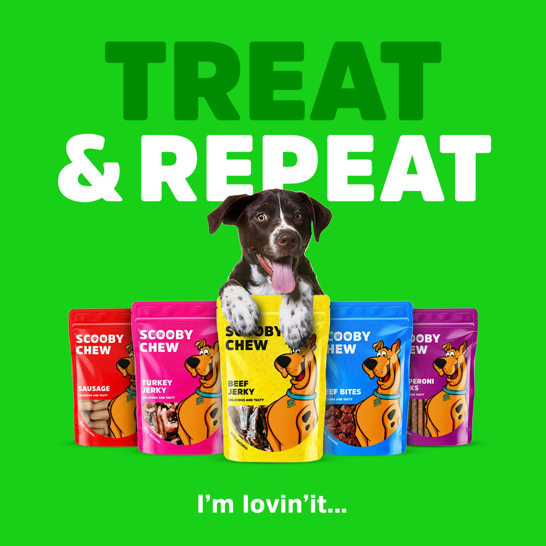 Scooby Chew Mix Sticks - Dog Treats 120g