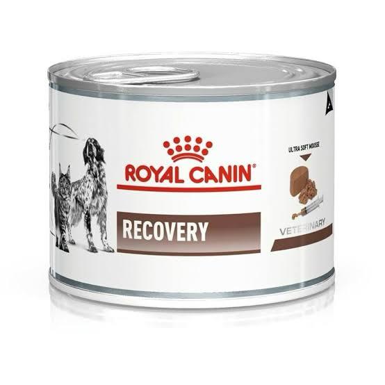 Royal Canin Recovery (195 gm) – Wet food for convalescence intensive care