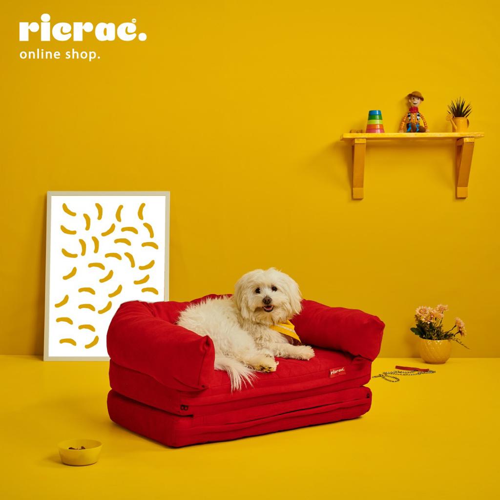Rango- Foldable Pet Sofa Bed
