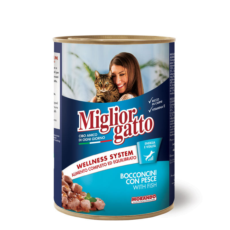Miglior gatto With Fish 405g