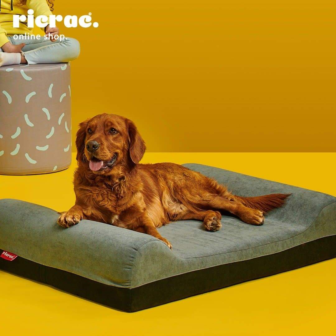 Orthopedic Memory Foam Pet Bed - Rontac