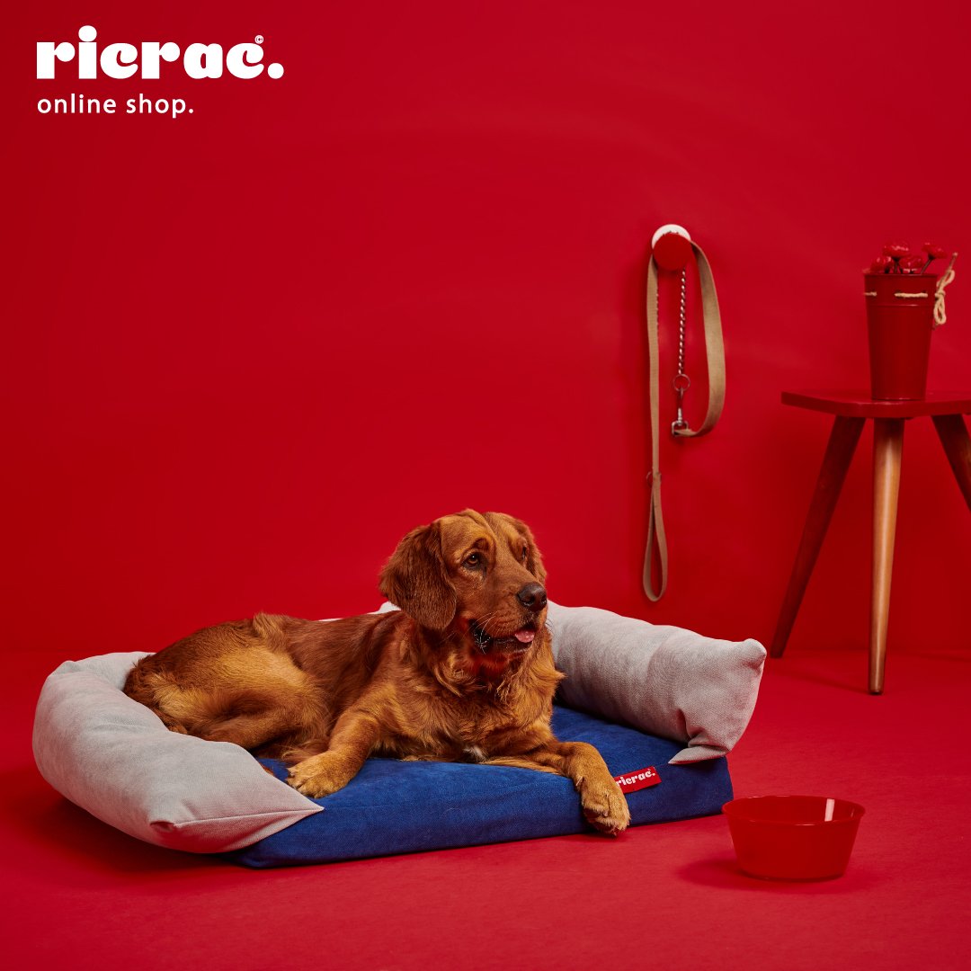 Rappy- Medium Puffy Pets Bed