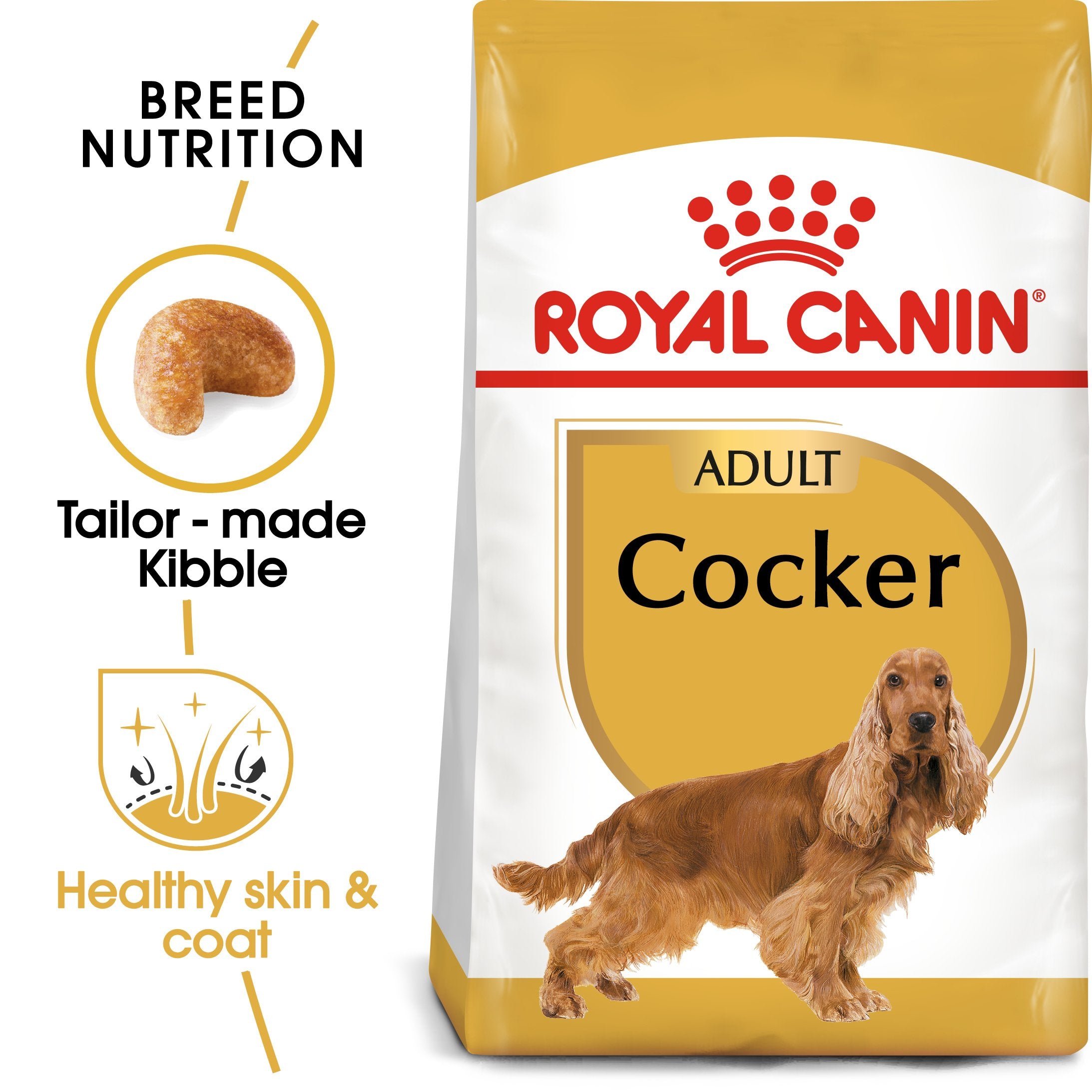 Royal Canin Cocker Adult (3 KG) - Dry food for adult Cocker dogs over 12 months - Amin Pet Shop