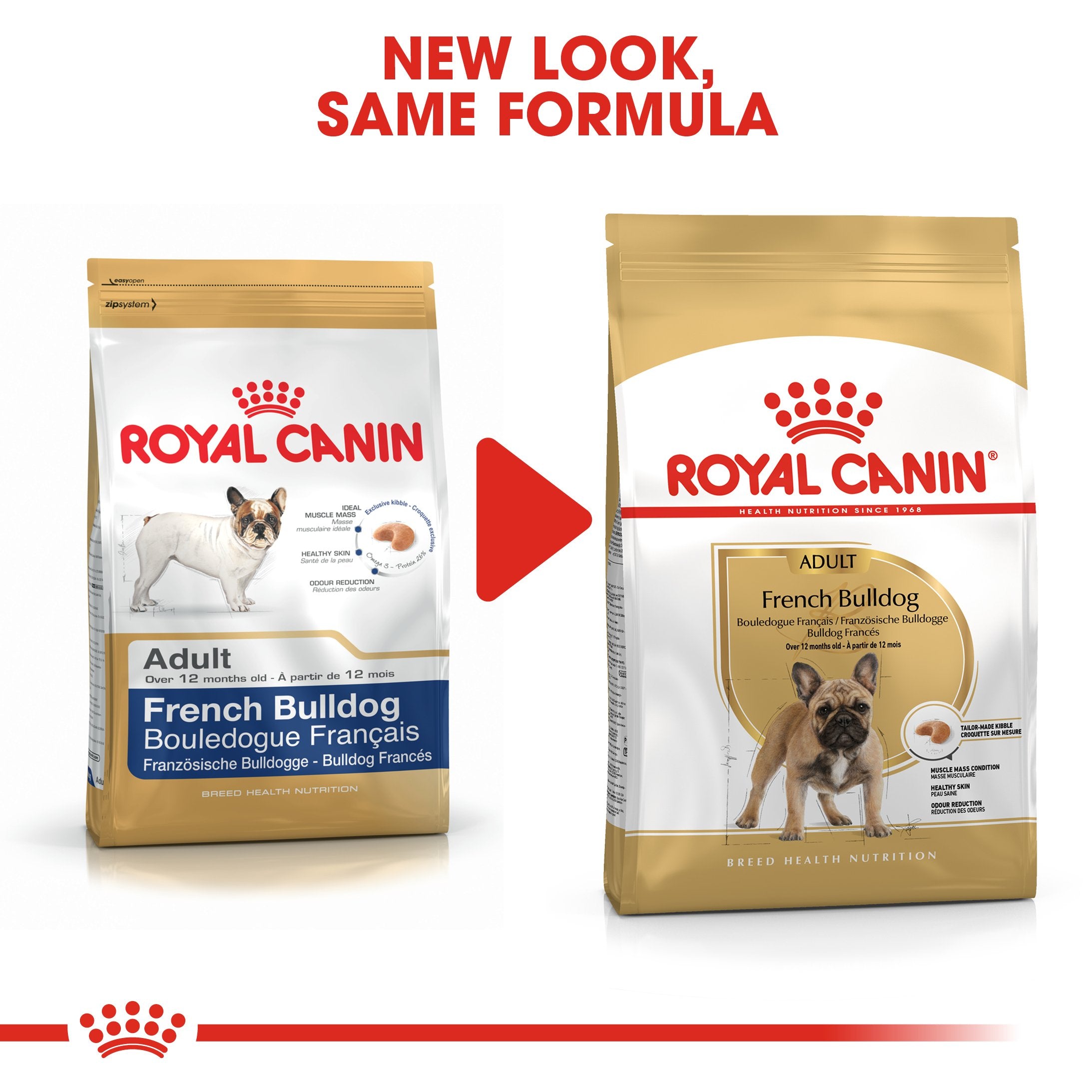 Royal Canin French Bulldog Adult (3 KG)- Dry food for adult dogs over 12 months - Amin Pet Shop
