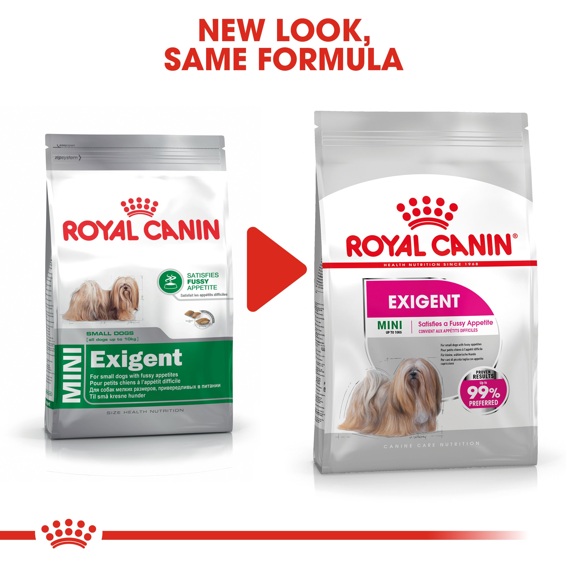Royal Canin Mini Exigent (3 KG) - Dry food for small dogs up to 10 KG with fussy appetite. Over 10 months