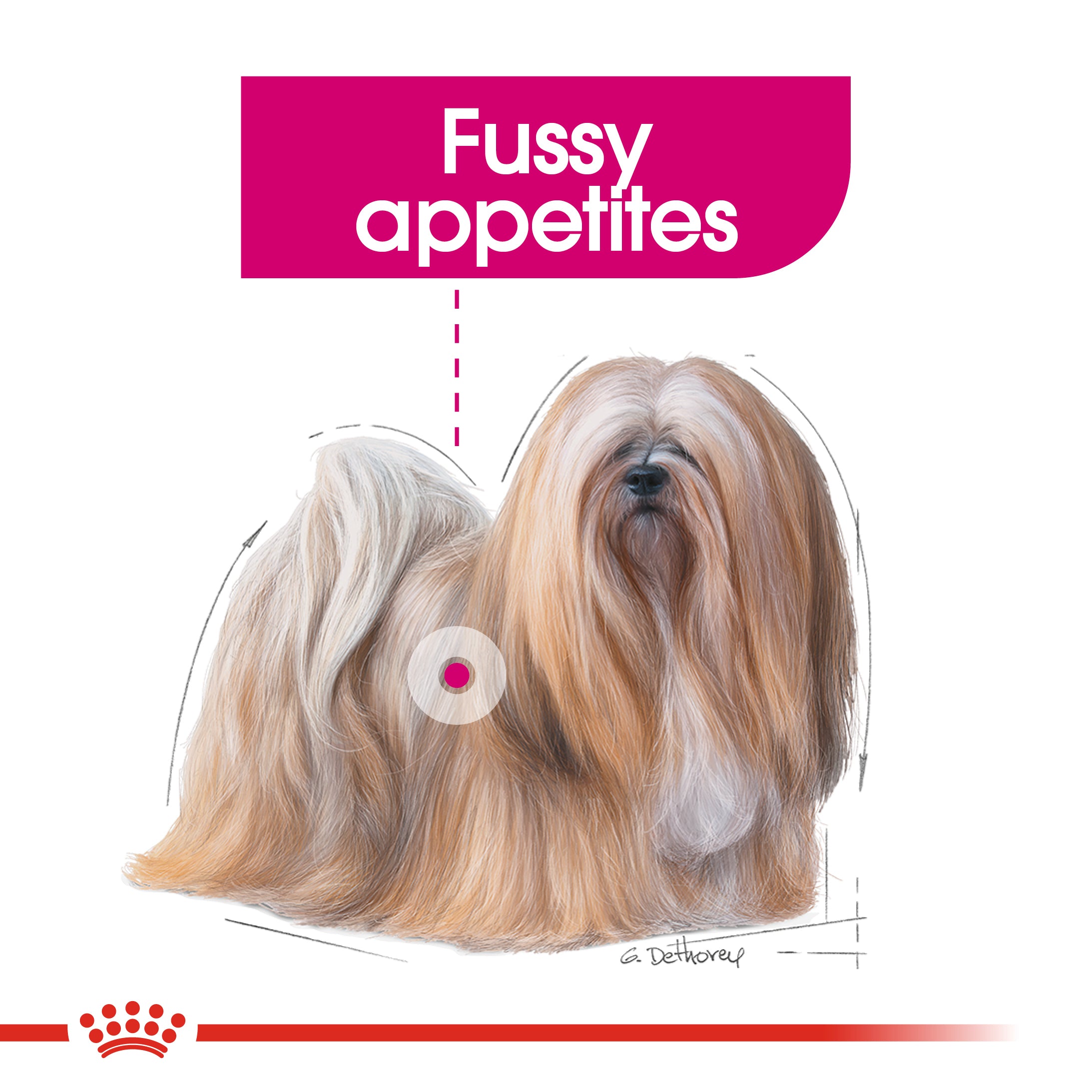 Royal Canin Mini Exigent (3 KG) - Dry food for small dogs up to 10 KG with fussy appetite. Over 10 months
