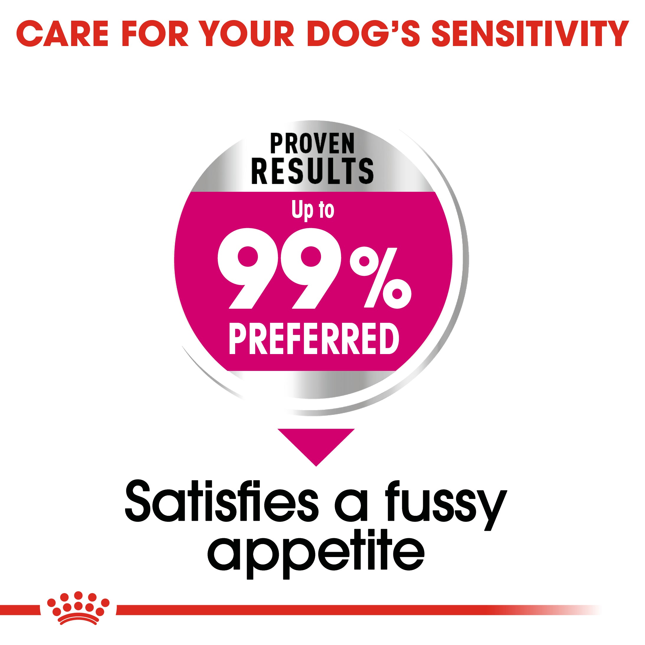 Royal Canin Mini Exigent (3 KG) - Dry food for small dogs up to 10 KG with fussy appetite. Over 10 months