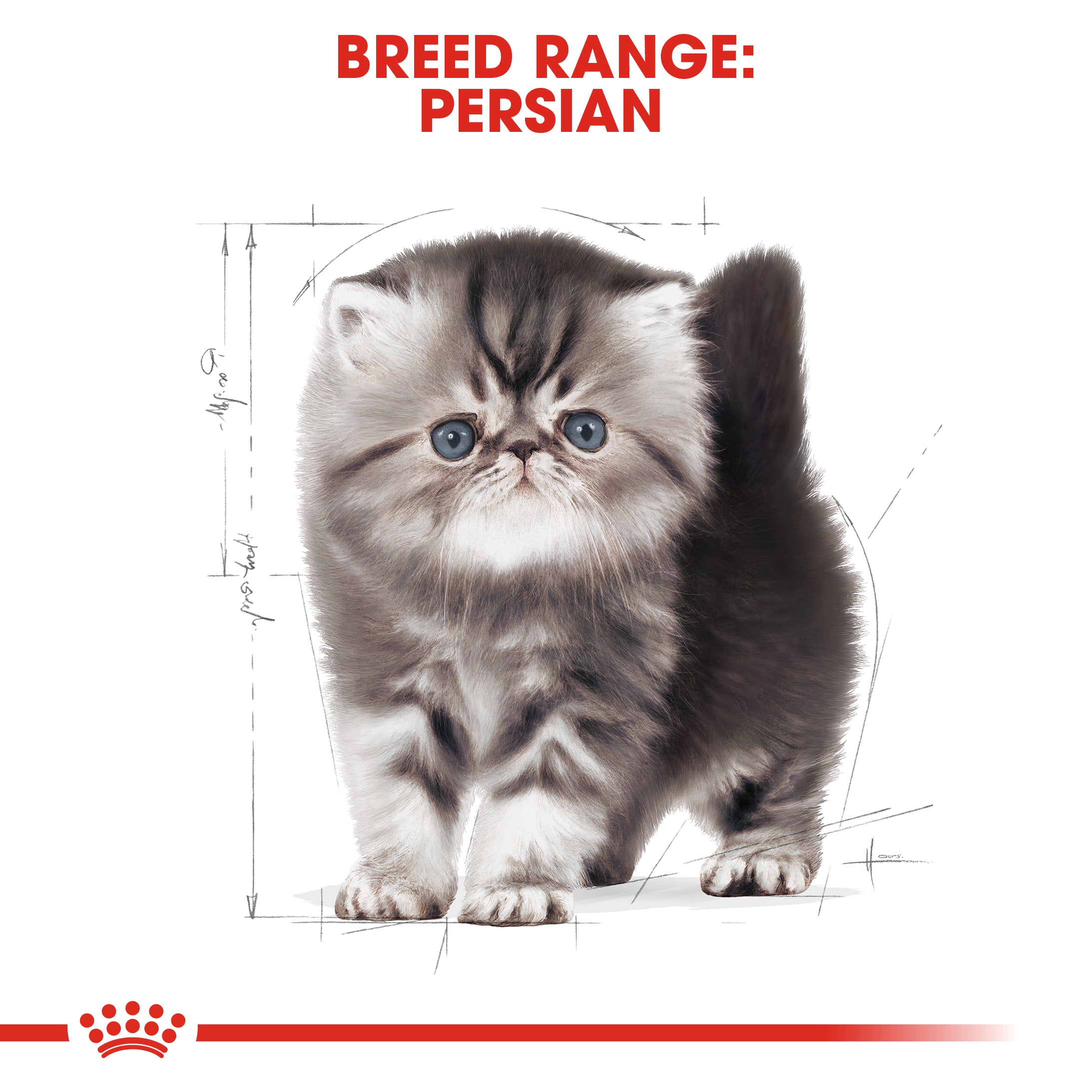 Royal Canin Persian Kitten (2KG) Up to 12 months