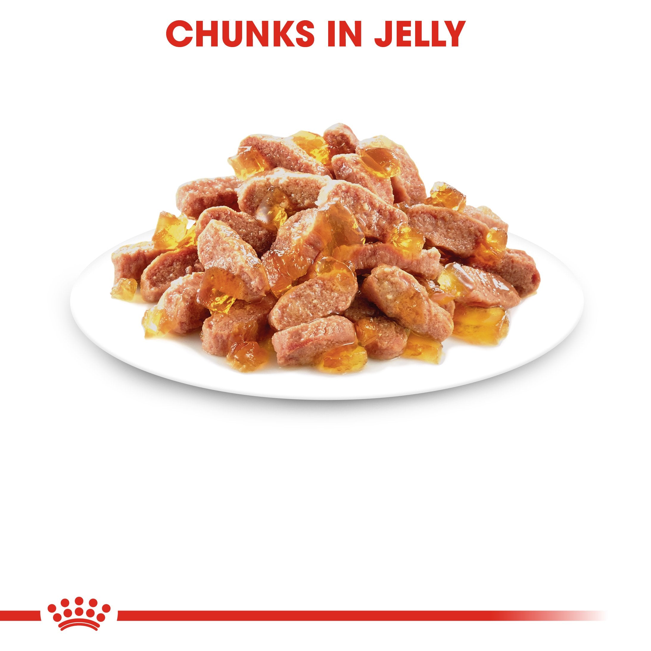 Royal Canin Kitten In Jelly (85gm\ Pouch) - wet food for kittens up to 12 months - Amin Pet Shop