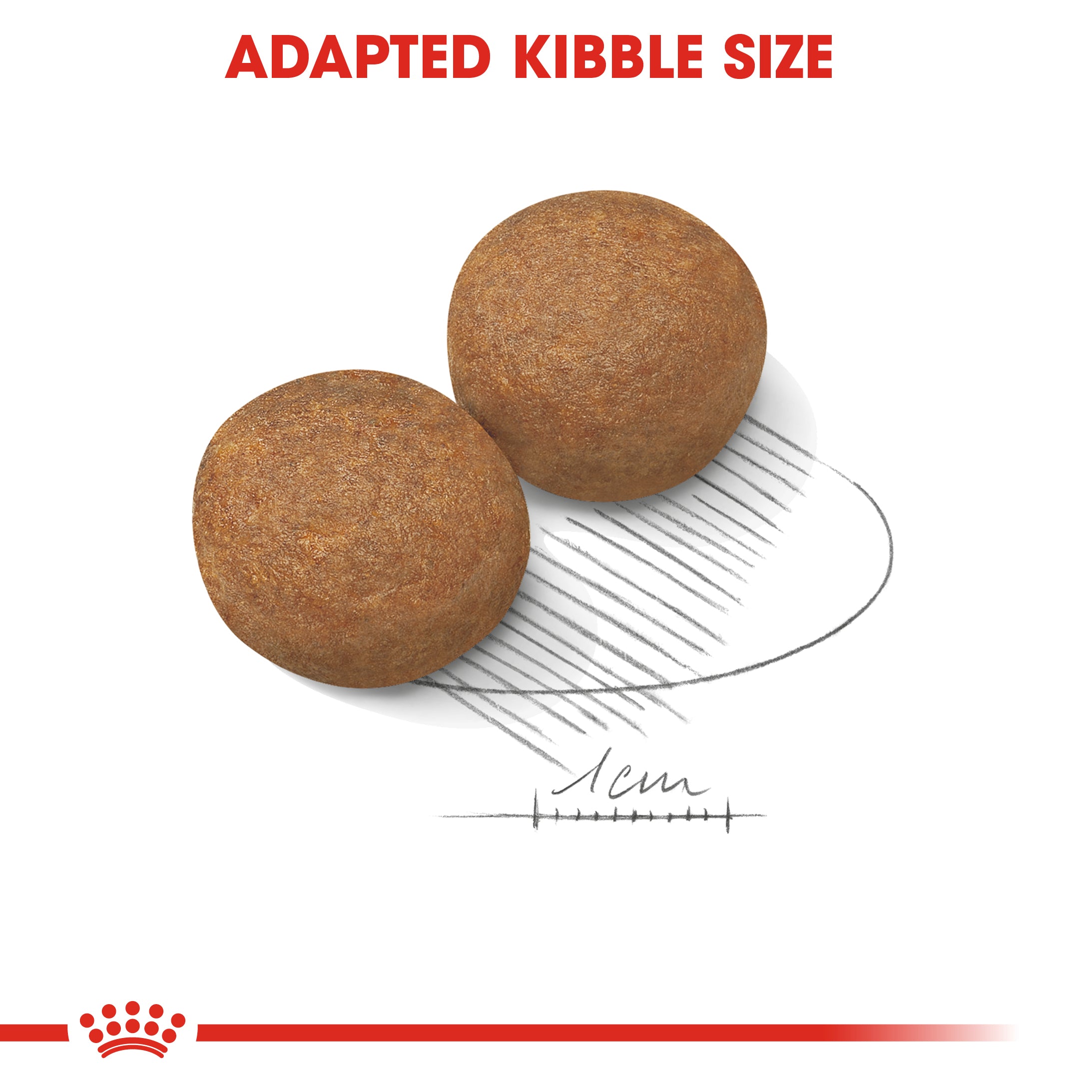 Royal Canin Maxi Adult (4 KG) - Dry food for large dogs from 26 to 44 KG. From 15 months to 5 years old