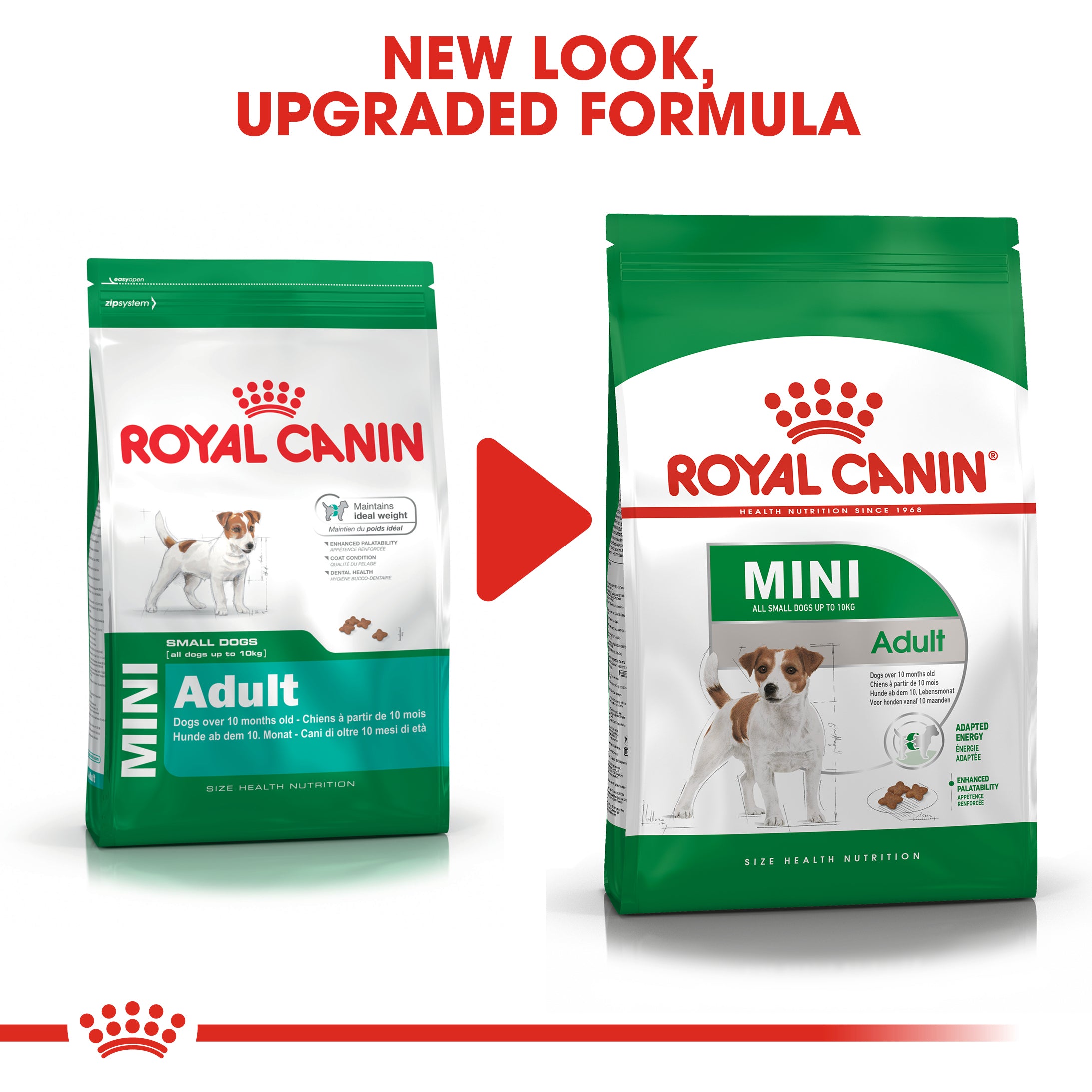 Royal Canin Mini Adult (4 KG) - Dry food for small dogs up to 10 KG - form 10 months to 8 years
