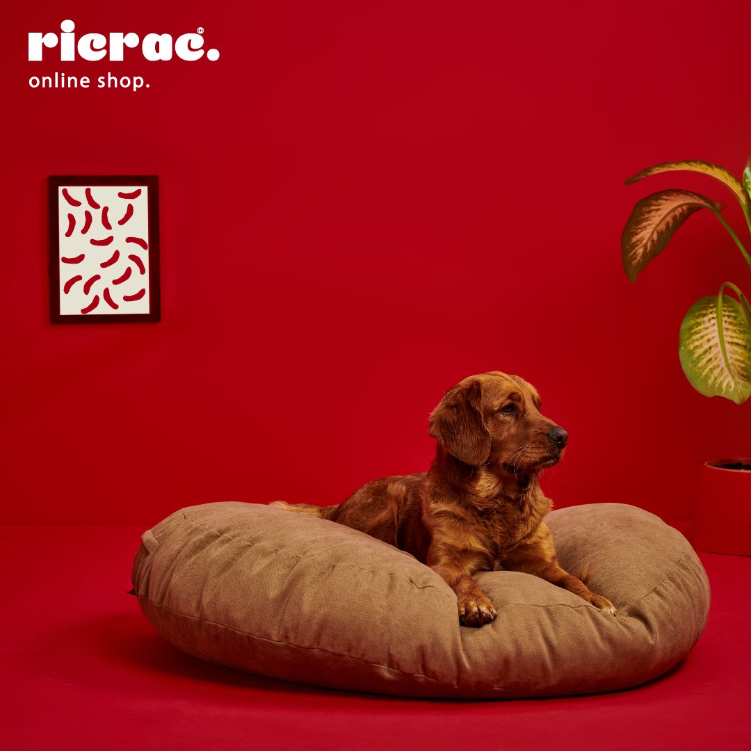 Ran- Rounded bed for dogs and cats