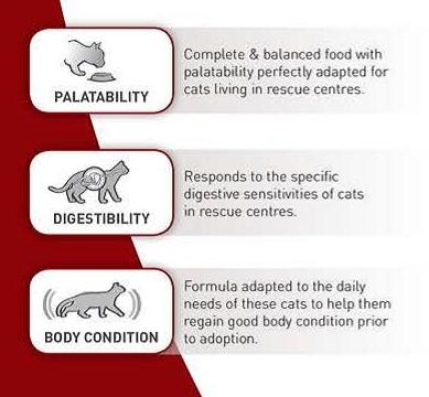 Royal Canin SC 365D (15 KG) - Dry food for Sterilised adult cats over 1 year living in shelters or rescue centers - Amin Pet Shop