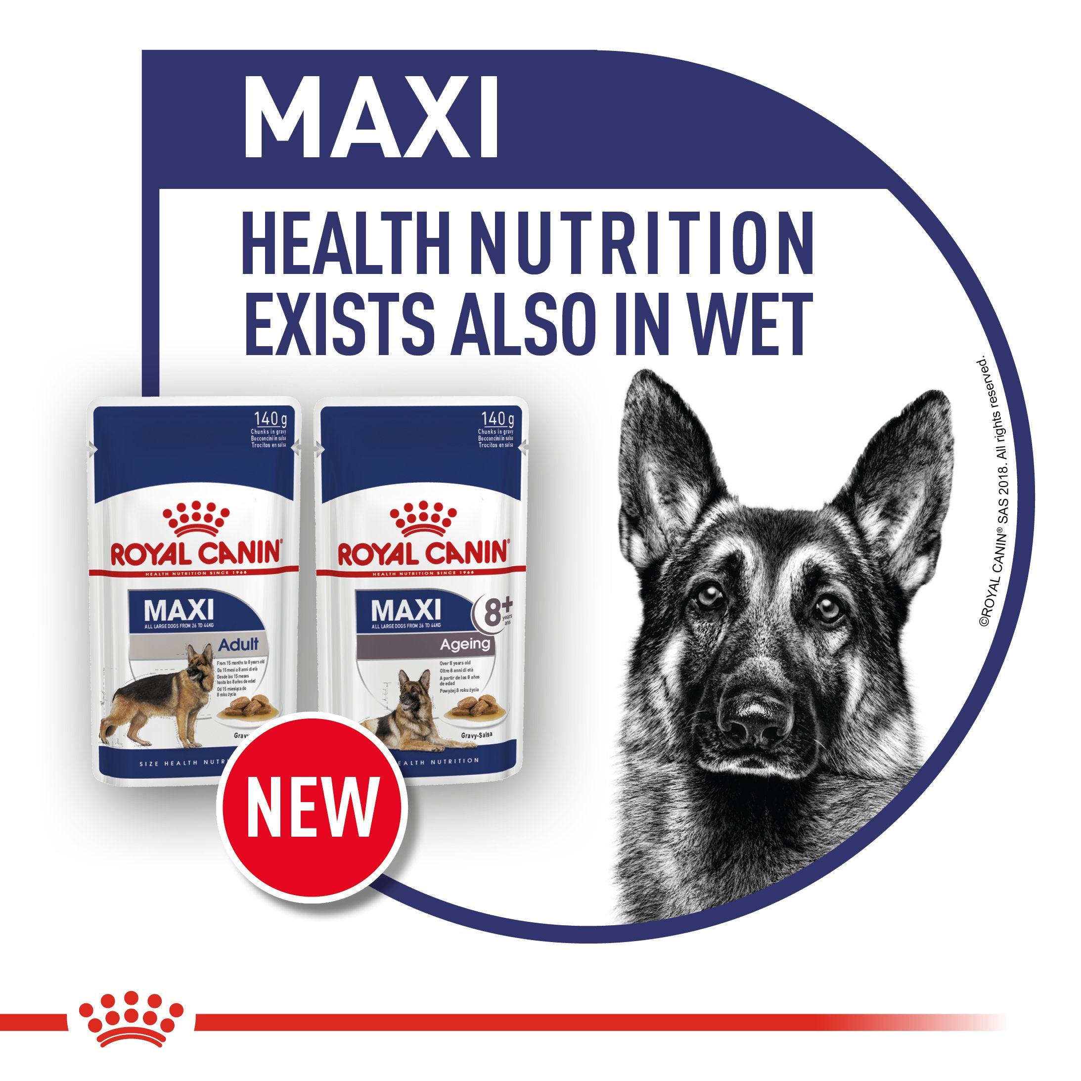 Royal Canin Maxi Adult (15 KG) - Dry food for large dogs from 26 to 44 KG. From 15 months to 5 years old - Amin Pet Shop
