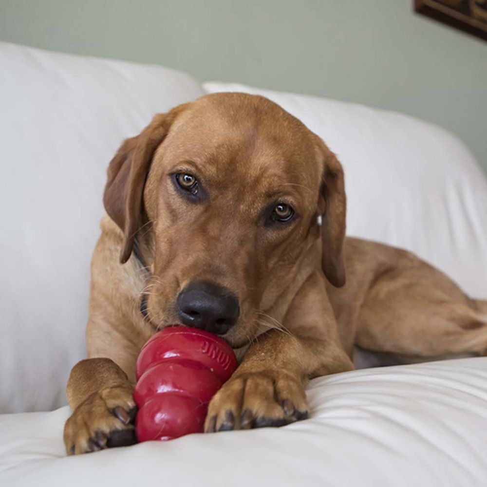 KONG®Snacks™ Liver for Medium/Large KONG